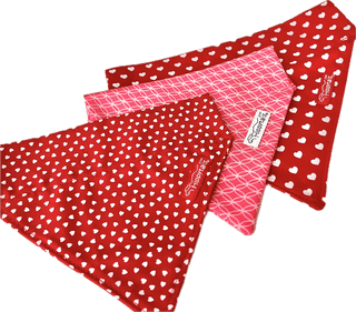 Add a Matching SLIP-ON BANDANA (subject to fabric availability) 4 - Hippytails