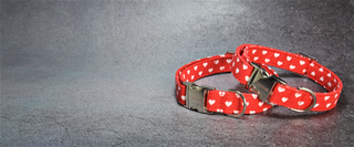 Banner Two Red Hearts Collars on concrete