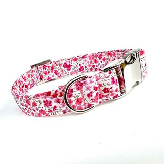 Liberty dog collar delicate pink flowers, pink floral Liberty dog collar, Liberty Phoebe pink dog collar, optional dog lead