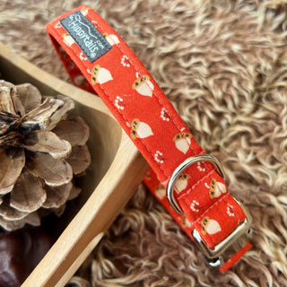 Rusty red dog collar with acorn print, rusty red acorn dog collar, autumn dog collar, fall unisex dog collar, optional lead available
