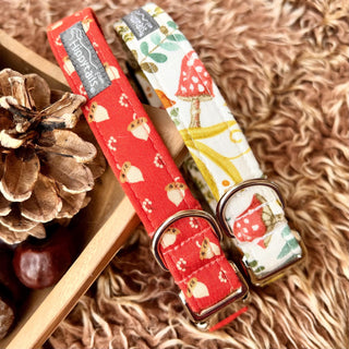 Rusty red dog collar with acorn print, rusty red acorn dog collar, autumn dog collar, fall unisex dog collar, optional lead available