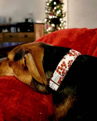 Christmas Red Frosted Berries Designer Dog Collar, Christmas Red and Silver Metallic Dog Collar, Festive Red Puppy Collar