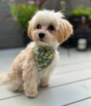 Handmade fabric Green flowers bandana