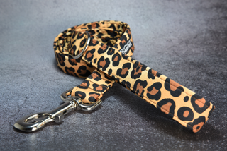 Leopard Handmade Dog lead on concrete