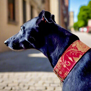 Brocade Martingale Collar - Hippytails