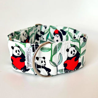 Martingale collar with panda print, Martingale Valentine's, greyhound collar, whippet collar, sighthound collar, 40mm, 50mm wide dog collar