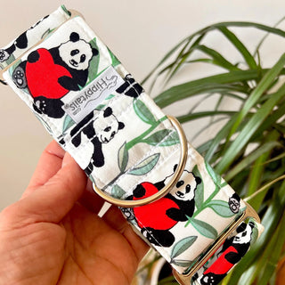 Martingale collar with panda print, Martingale Valentine's, greyhound collar, whippet collar, sighthound collar, 40mm, 50mm wide dog collar