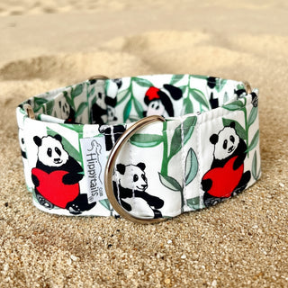 Martingale collar with panda print, Martingale Valentine's, greyhound collar, whippet collar, sighthound collar, 40mm, 50mm wide dog collar