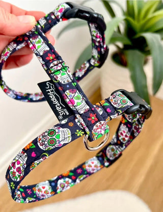 Cat harness Mexican skulls, cat harness mini Calaveras, Halloween cat harness, optional lead