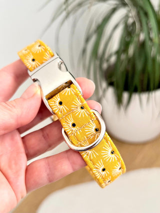 Yellow "Autumn Sun" Dog Collar, Mustard Yellow Dog Collar, Optional Dog Lead