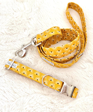 Yellow "Autumn Sun" Dog Collar, Mustard Yellow Dog Collar, Optional Dog Lead