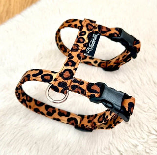 Cat harness leopard print, optional lead