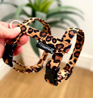 Cat harness leopard print, optional lead