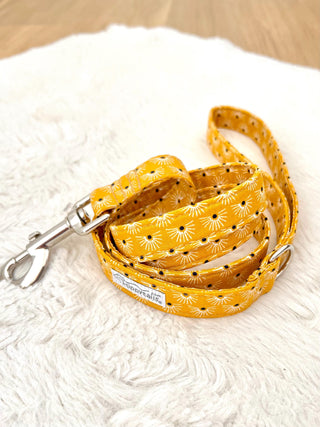 Yellow "Autumn Sun" Dog Collar, Mustard Yellow Dog Collar, Optional Dog Lead