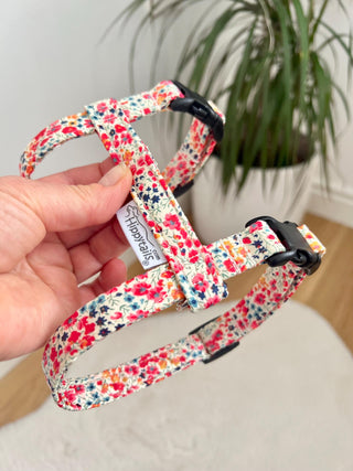 Liberty Cat Harness, Liberty Phoebe Cat Harness, Floral Cat harness, Optional Lead
