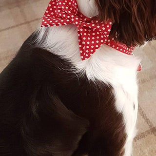 Add a Matching BOW TIE (subject to fabric availability) 10 - Hippytails