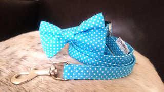 Accessories Blue and white polka dot handmade Lead and Bow tie for Dogs