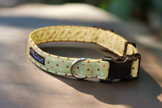 Olive Green Polka Dot Dog Collar 1 - Hippytails