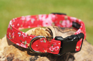 Small Red Vintage Rose Dog Collar 2 - Hippytails