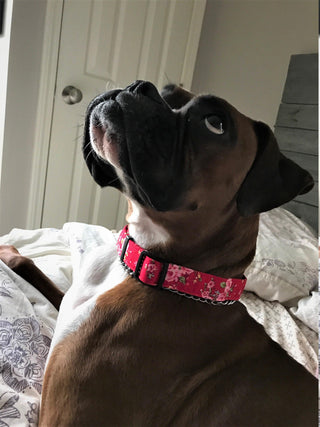 Small Red Vintage Rose Dog Collar 4 - Hippytails