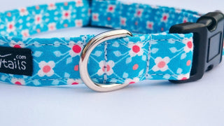 Turquoise Geometric Designer Dog Collar 5 - Hippytails