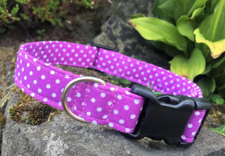 Purple Polka Dot Dog Collar 1 - Hippytails