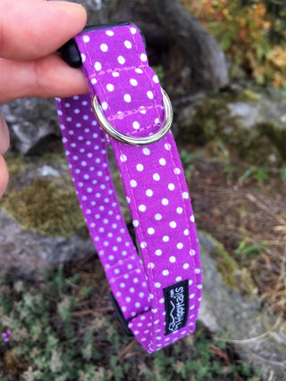 Purple Polka Dot Dog Collar 3 - Hippytails