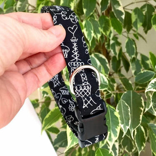 Little Paris Dog Collar 4 - Hippytails