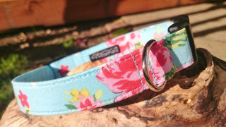 Sky Blue Vintage Rose Dog Collar 2 - Hippytails