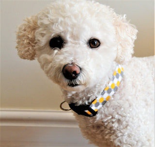 Honeycomb Dog Collar 1 - Hippytails