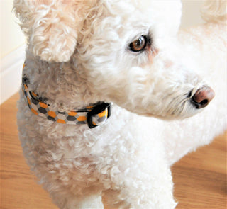 Honeycomb Dog Collar 3 - Hippytails