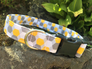Honeycomb Dog Collar 4 - Hippytails