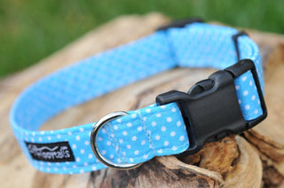 Sky Blue Polka Dot Dog Collar 2 - Hippytails