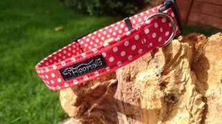 Red, Grey or Mint Green Polka Dot Dog Collar 2 - Hippytails