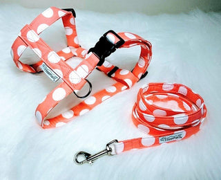Salmon Pink Large Polka Dot Dog Collar 3 - Hippytails