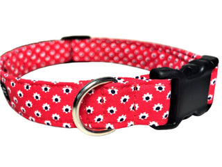 Red Daisies Dog Collar 3 - Hippytails