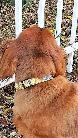 Spring Green Vintage Rose Dog Collar 2 - Hippytails