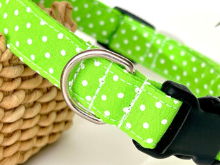 Neon Green Polka Dot Dog Collar 2 - Hippytails