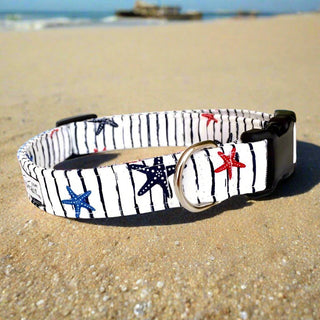 Star Fish Dog Collar 1 - Hippytails
