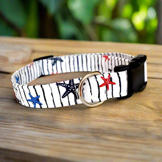 Star Fish Dog Collar 4 - Hippytails