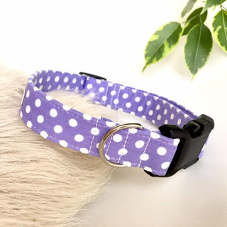 Lilac Large Polka Dot Dog Collar 2 - Hippytails