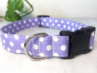 Lilac Large Polka Dot Dog Collar 4 - Hippytails