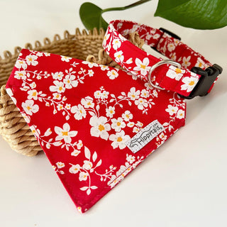 Red Jasmine Dog Collar 3 - Hippytails