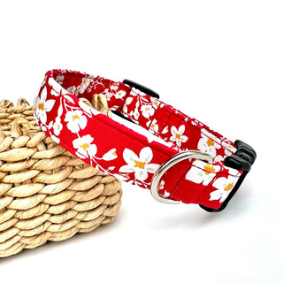 Red Jasmine Dog Collar 4 - Hippytails