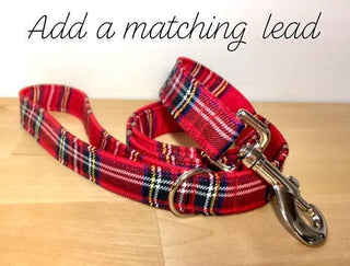 Add-on Dog Lead 6 - Hippytails